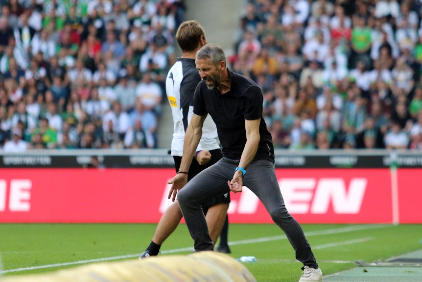 Trainer Marco Rose an der Seitenlinie im Borussia-Park