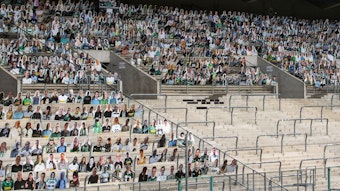 Etwa 12.000 Pappkameraden werden bis zum ersten Heimspiel Bayer 04 Leverkusen im Borussia-Park aufgestellt sein.