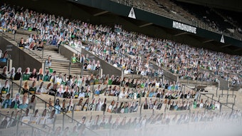Die Pappkameraden-Aktion im Borussia-Park wird bereits von über 12.000 Gladbach-Fans unterstützt.