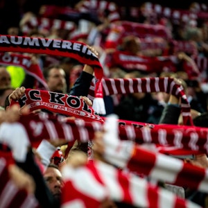 Fans des 1. FC Köln stehen auf der Tribüne