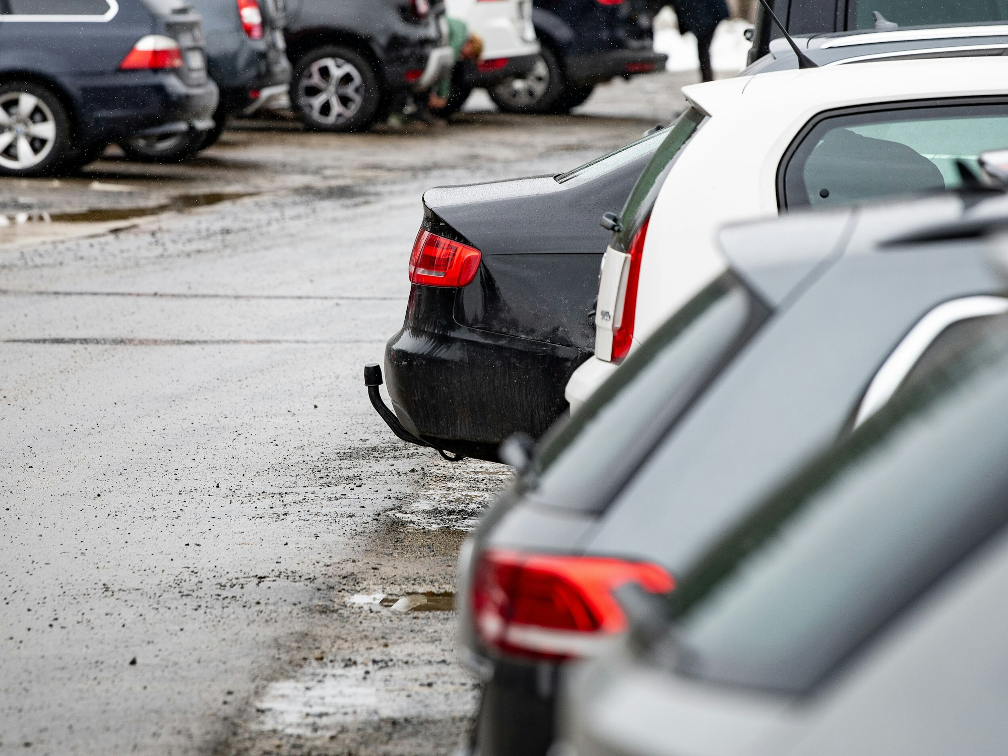 Autos stehen im März 2021 auf einem Parkplatz am Oderteich im Nationalpark Harz nebeneinander.