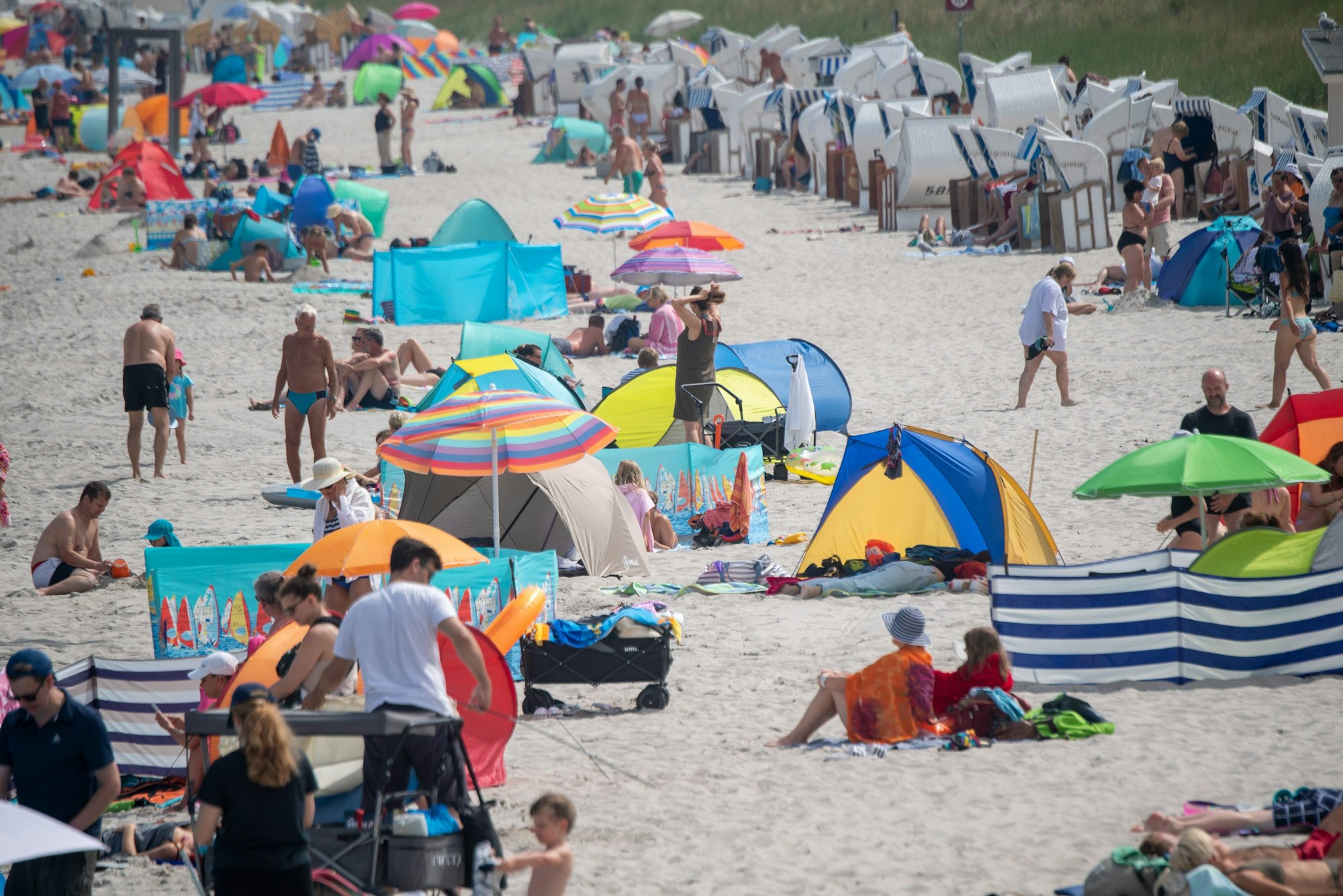 Am Ostseebad in Zingst haben Urlauber am Strand Sonnenschirme aufgespannt.