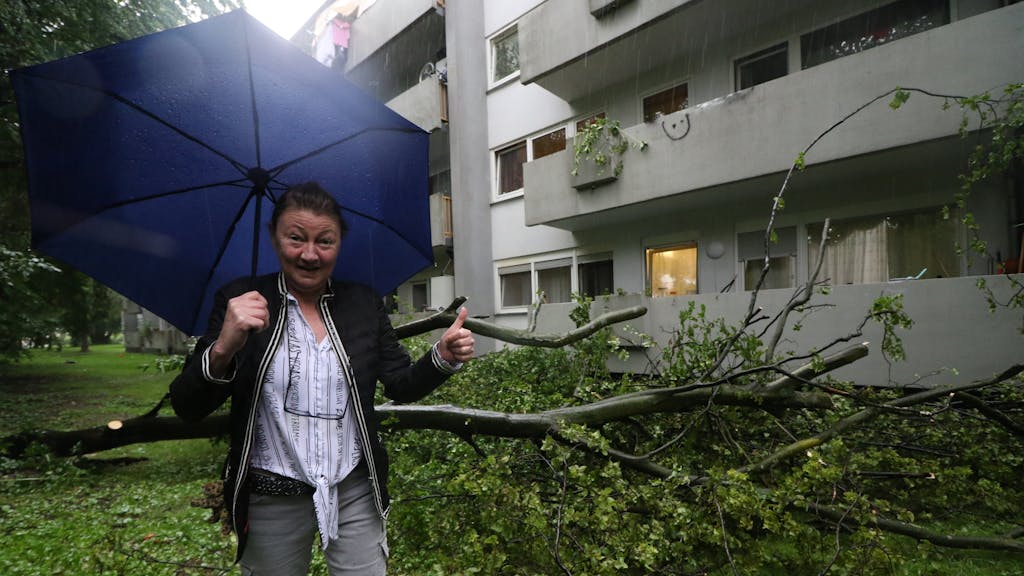 Die Kölnerin Sabina Meyer-Molnar steht neben einem Baum, der drohte, auf ihr Haus zu stürzen. 