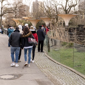Menschen spazieren durch den Kölner Zoo.