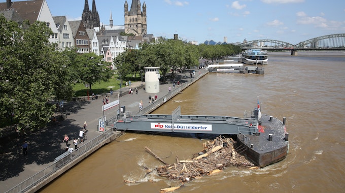 Hochwasser in Köln: Das Rheinufer bei einem Wasserstand von 7,42 Meter.