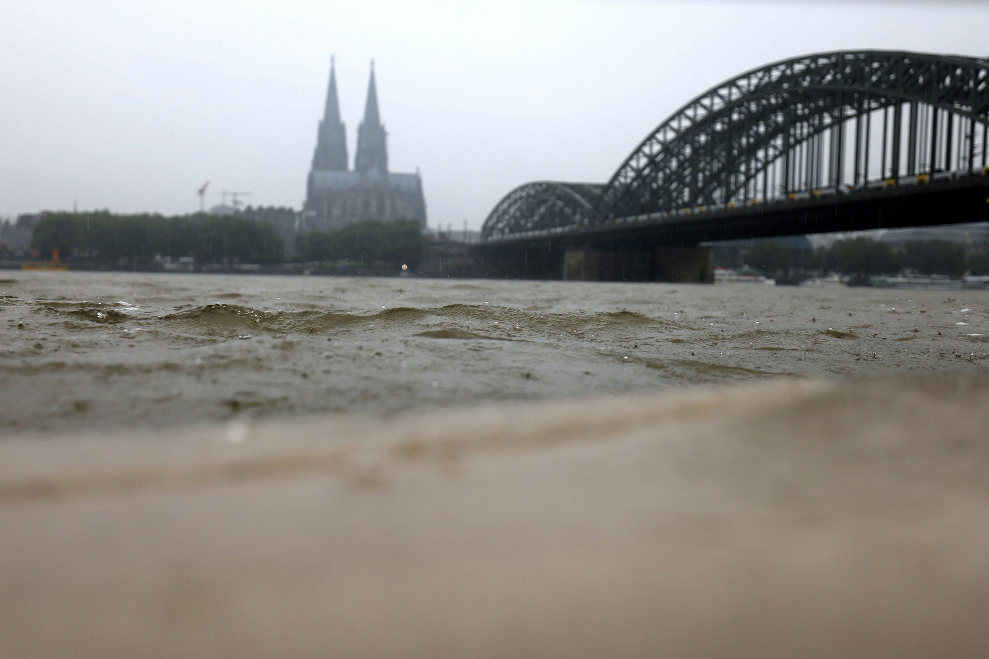Der Rhein schwappt ans Ufer.
