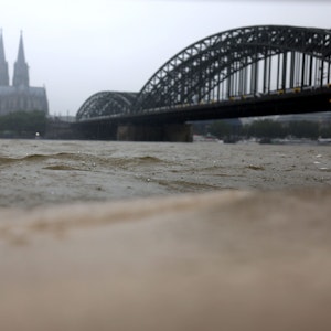 Der Rhein schwappt ans Ufer.