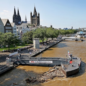 Treibgut liegt an einem Anleger am Rheinufer. Der Rheinpegel sinkt nach den Unwettern wieder.