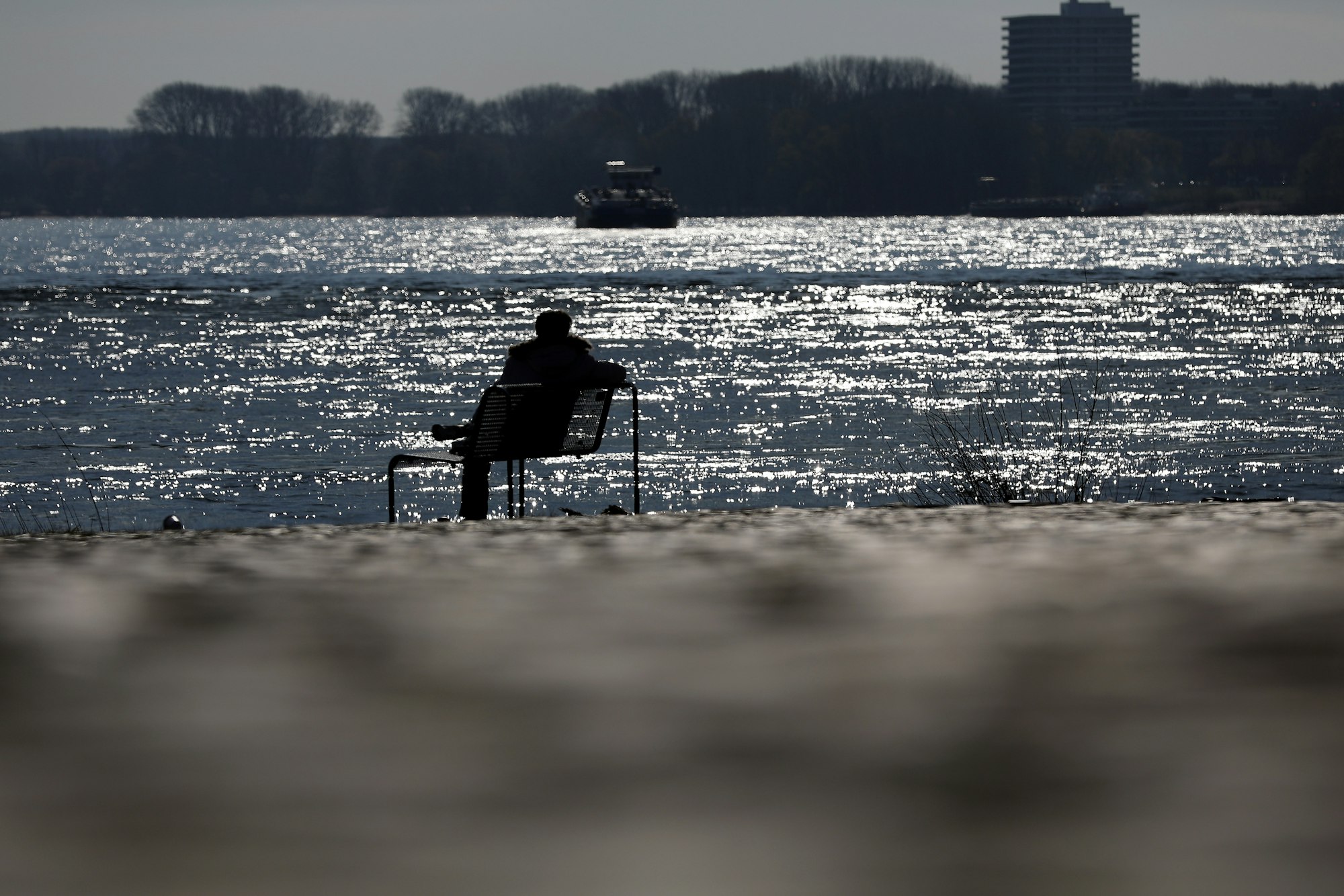Ein Mann sitzt auf einer Bank am Rheinufer in der Sonne.
