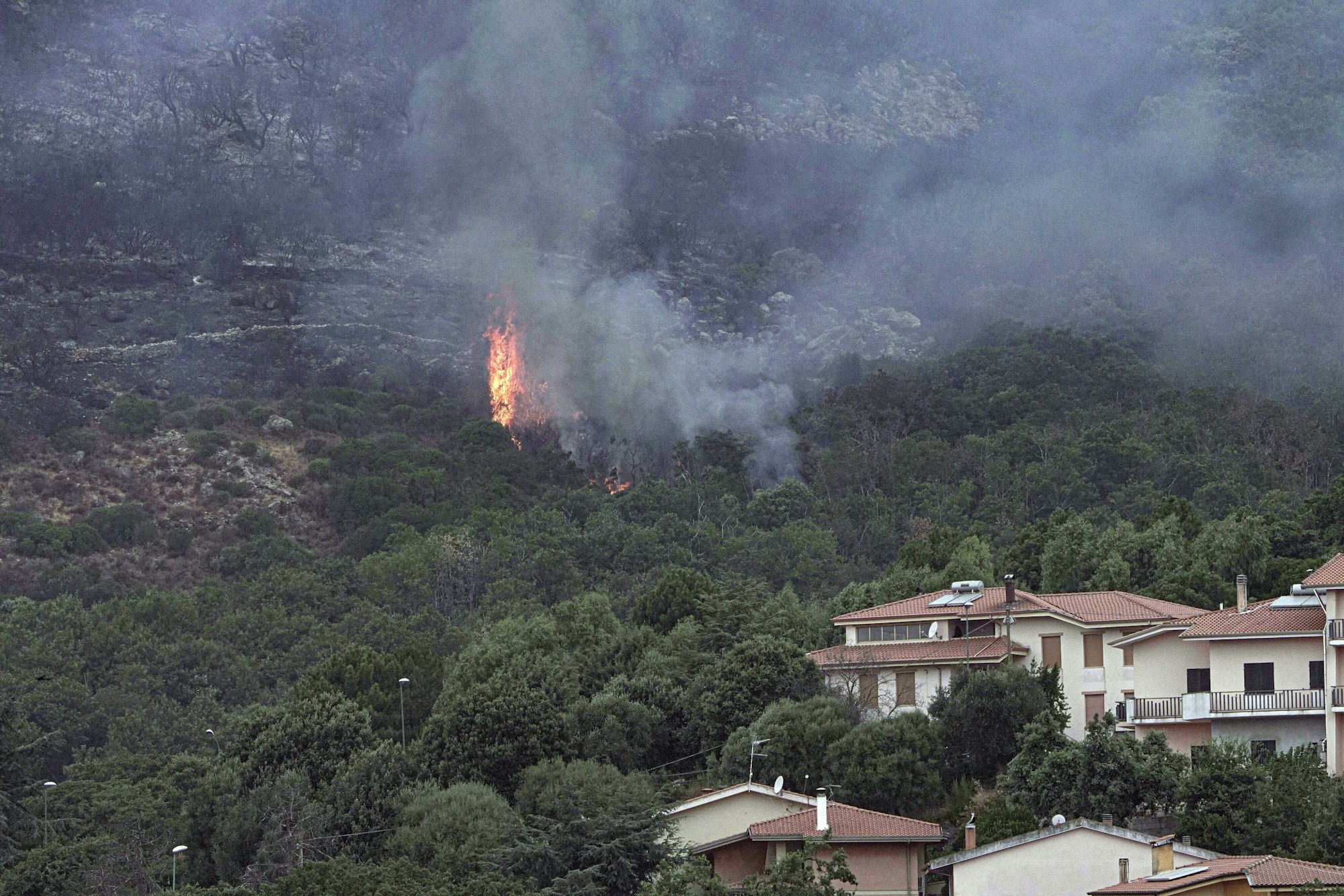 Flammen schlagen am 26.07.2021 aus einem bewaldeten Gebiet in der Nähe von Häusern in der Nähe von Oristano auf der Insel Sardinien.