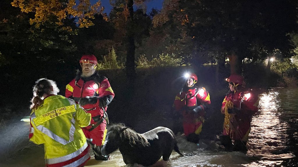 Mitarbeiter der Essener Tierrettung ziehen ein Pony durch das Hochwasser im Kreis Düren.&nbsp;