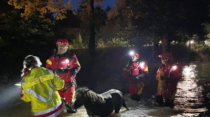 Mitarbeiter der Essener Tierrettung ziehen ein Pony durch das Hochwasser im Kreis Düren.&nbsp;
