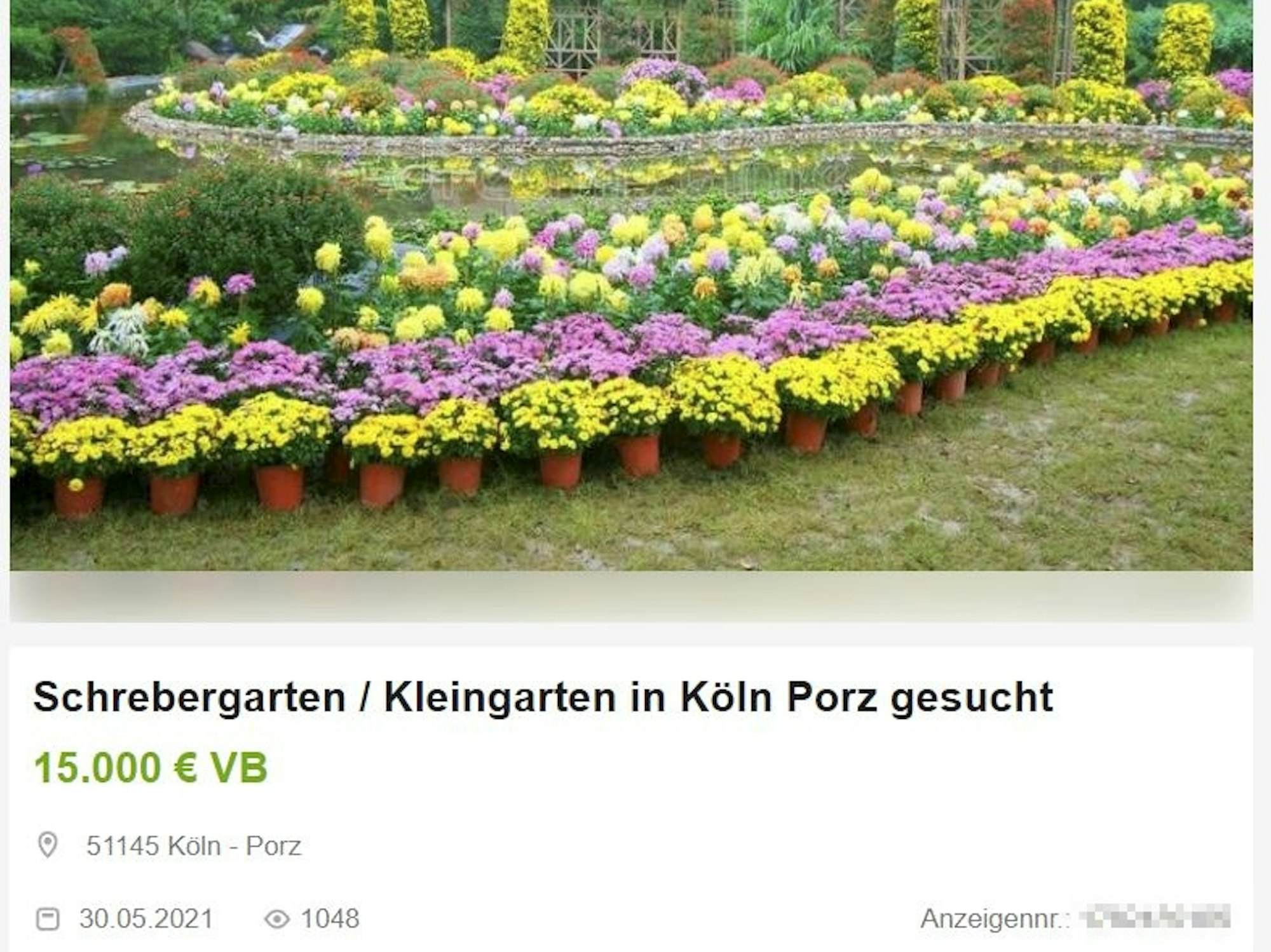 Eine Anzeige eines Interessen für einen Kleingarten in Köln.