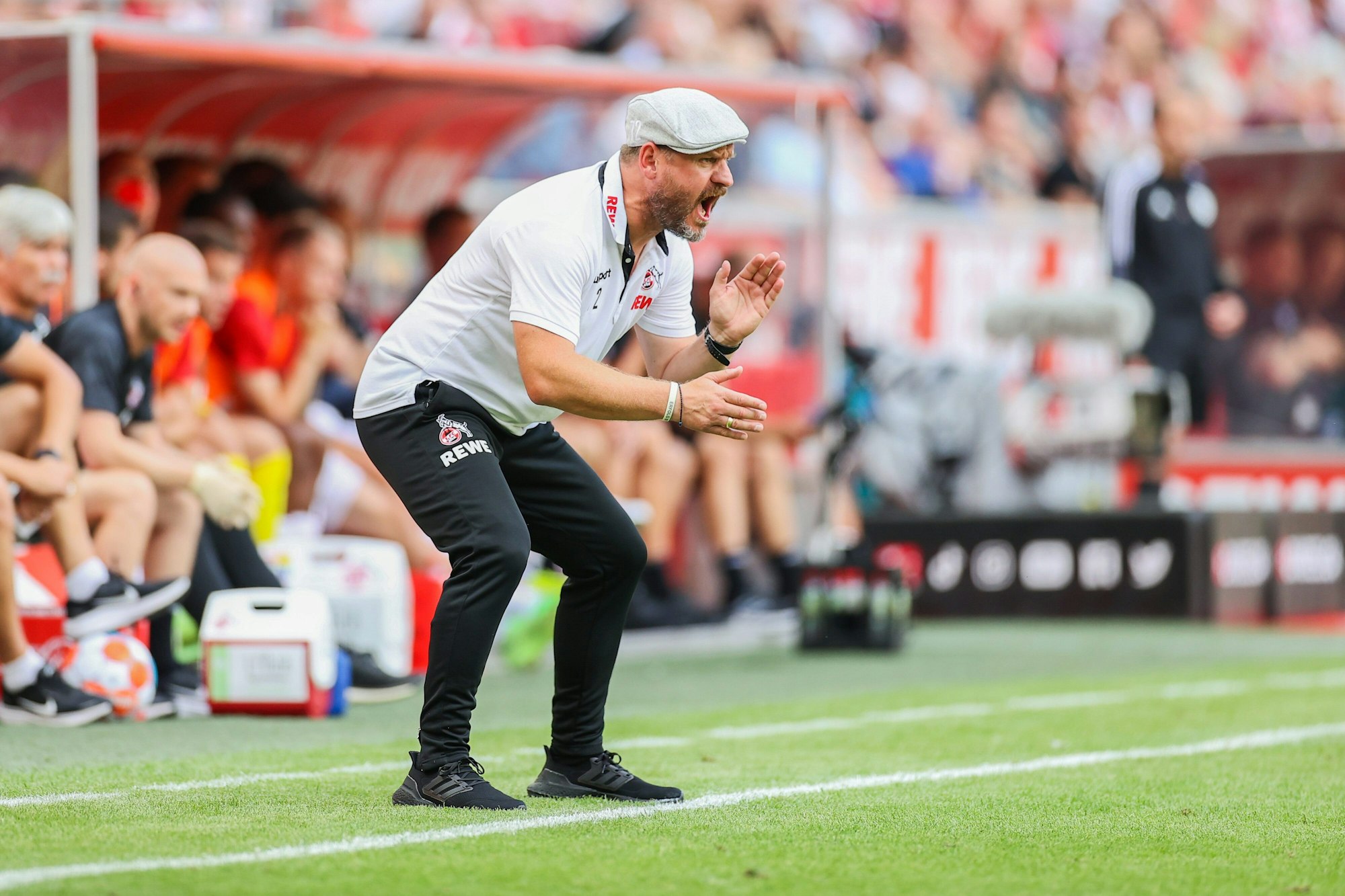 Kölns Trainer Steffen Baumgart feuert seine Mannschaft an.