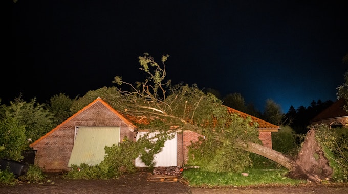 Ein umgewehter Baum hängt noch halb auf dem Dach eines Hauses.