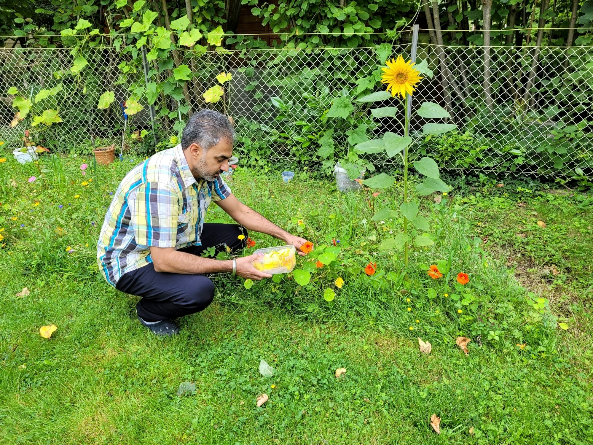 Jaspreet Dhaliwal-Wilmes hockt in seinem Garten und pflückt Blumen.