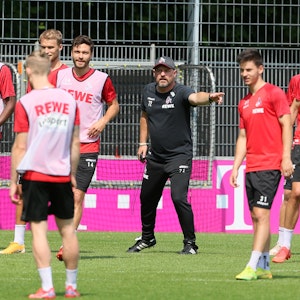 Steffen Baumgart gibt beim Training des 1. FC Köln Anweisungen