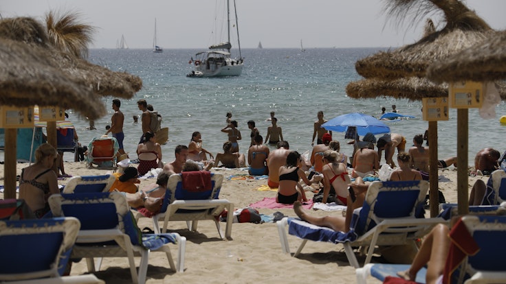 Auch am Strand in Palma de Mallorca (hier ein Archivfoto) wurden die Riesenquallen gesichtet.