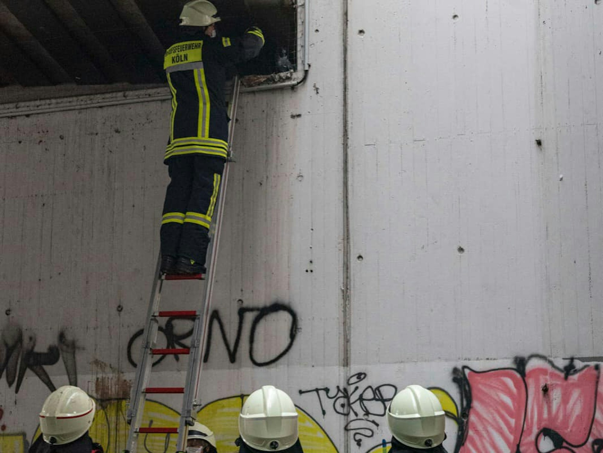 Ein Feuerwehrmann steht auf einer Leiter, drei Kollegen schauen zu ihm hoch.