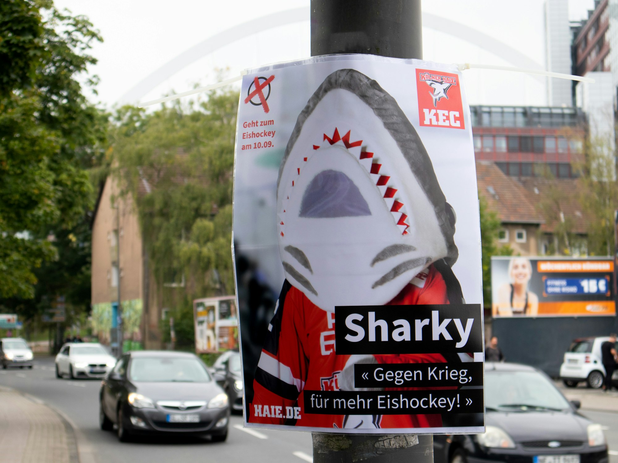 Wahlkampf von Sharky für Eishockey in Köln.