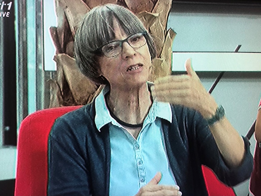 Sylvia Schenk kritisiert die Kommunikation des DFB.