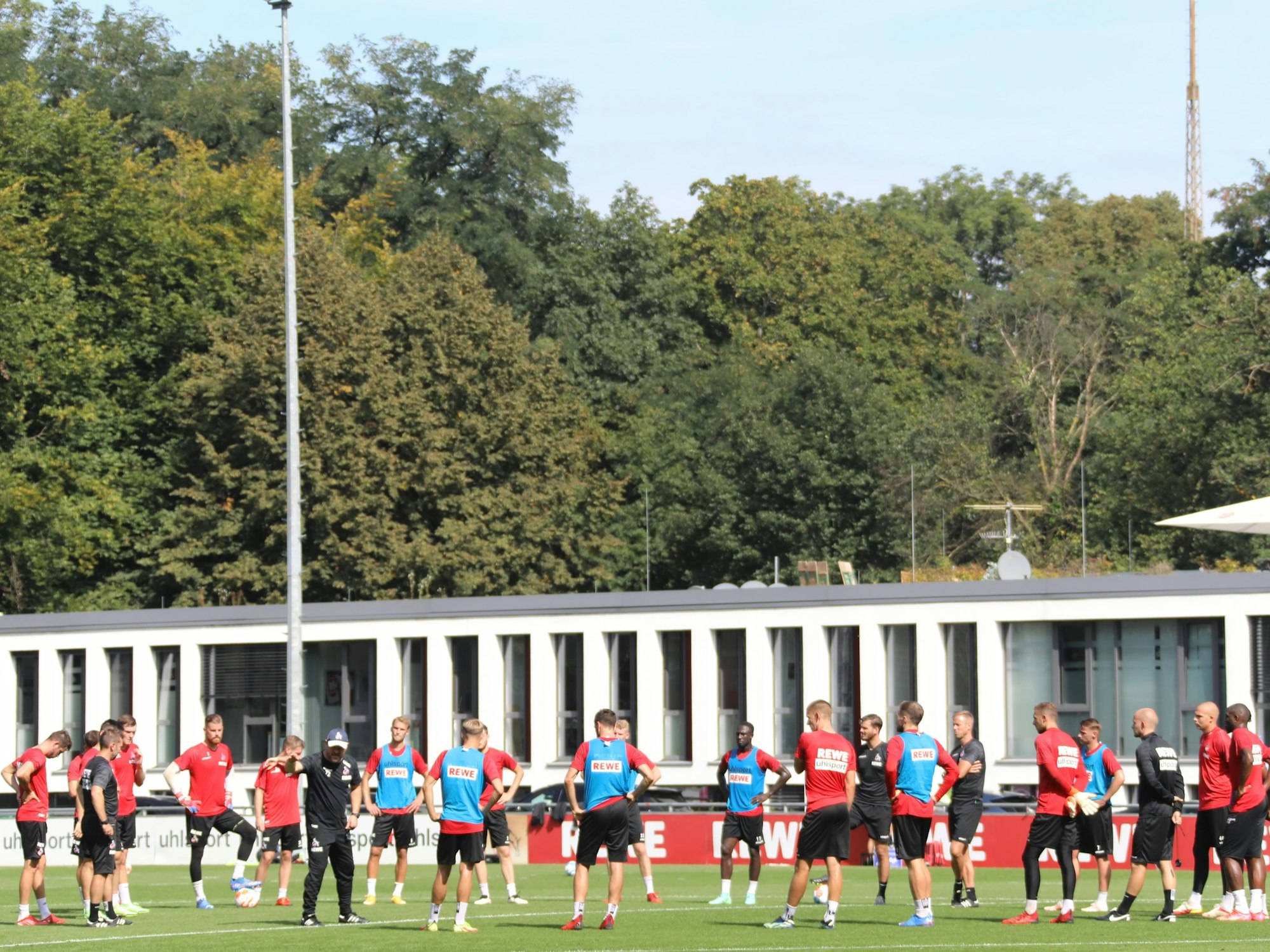 Trainer Steffen Baumgart (1. FC Köln)
gibt Anweisungen beim Training des 1. FC Köln.