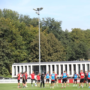 Trainer Steffen Baumgart (1. FC Köln) gibt Anweisungen beim Training des 1. FC Köln.