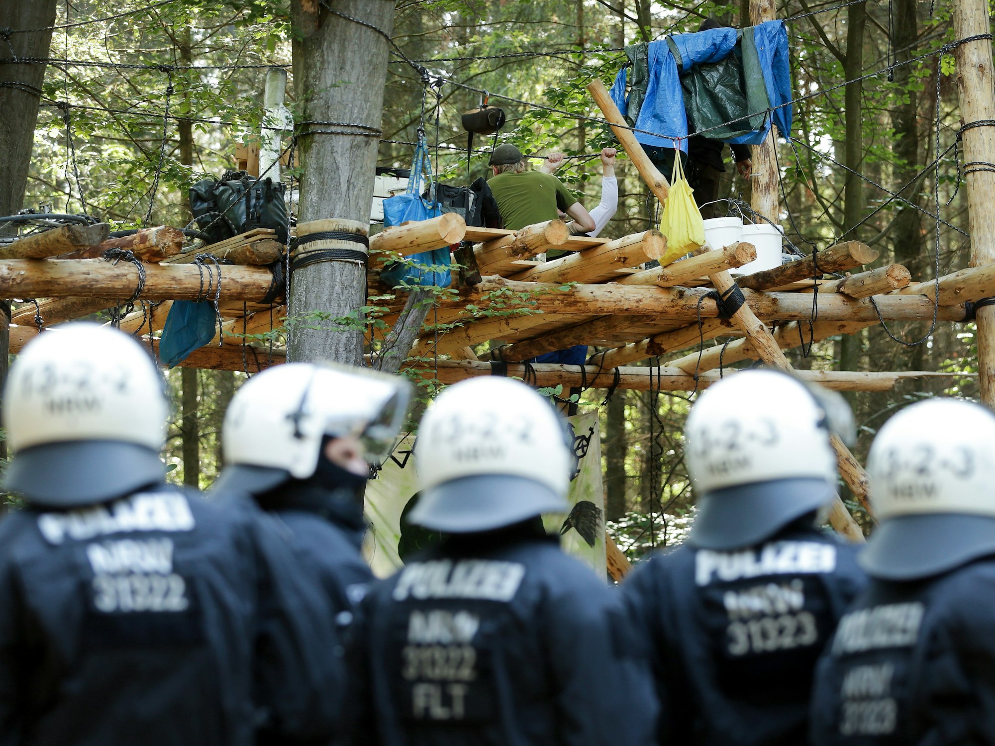 Polizisten stehen im Hambacher Forst vor einer Plattform zwischen Bäumen.