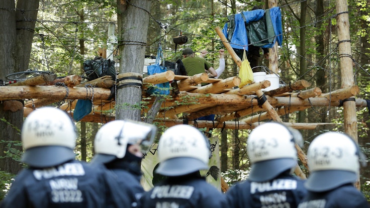 Polizisten stehen im Hambacher Forst vor einer Plattform zwischen Bäumen.