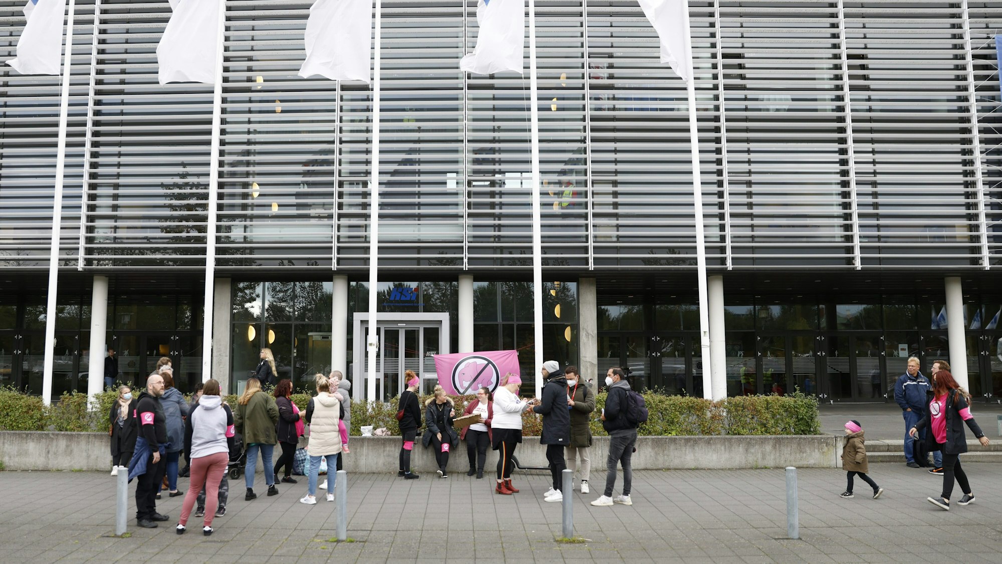 Eine Gruppe protestiert vor dem WM-Quali-Spiel der deutschen Nationalmannschaft in Island