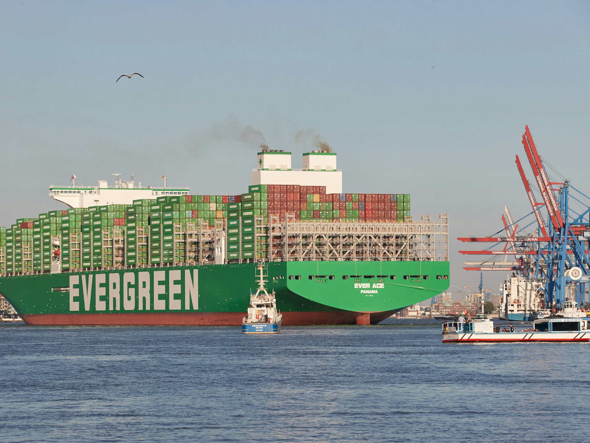 Die Ever Ace, eines der größten Containerschiffe der Welt, wird auf der Elbe von Schleppern in den Hamburger Hafen gelots