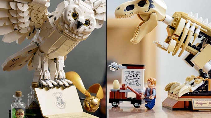 Lego Neuheiten September 2021, Lego-Harry-Potter Hogwarts Icons Collector’s Edition und T.-Rex-Skelett aus Jurassic World.