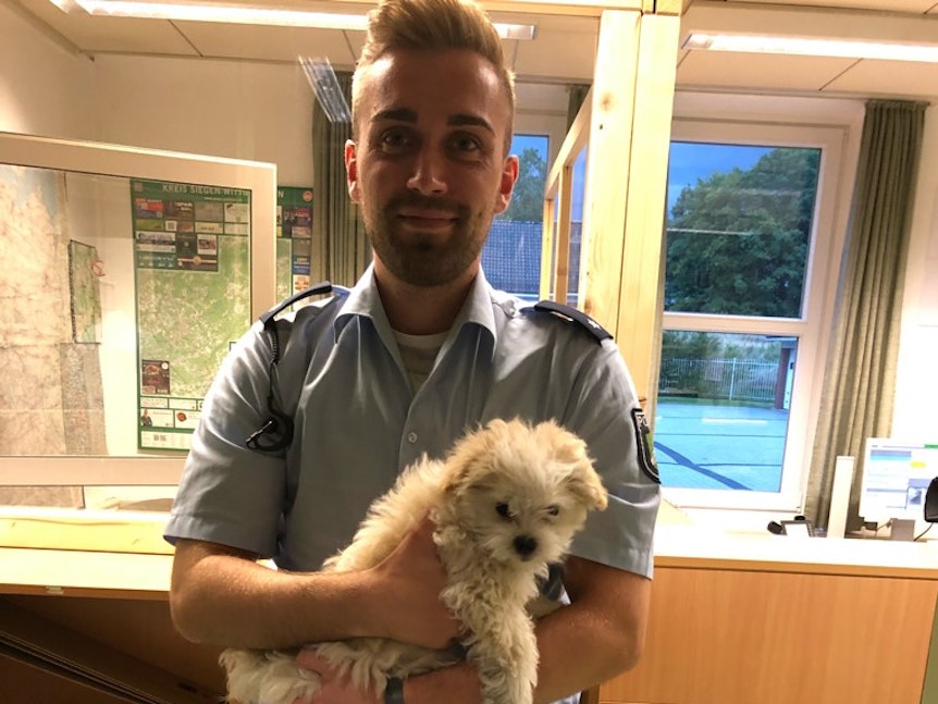 Endlich in guten Händen: Ein Beamter der Autobahnpolizei-Wache in Freudenberg mit einem der drei befreiten Hunde.