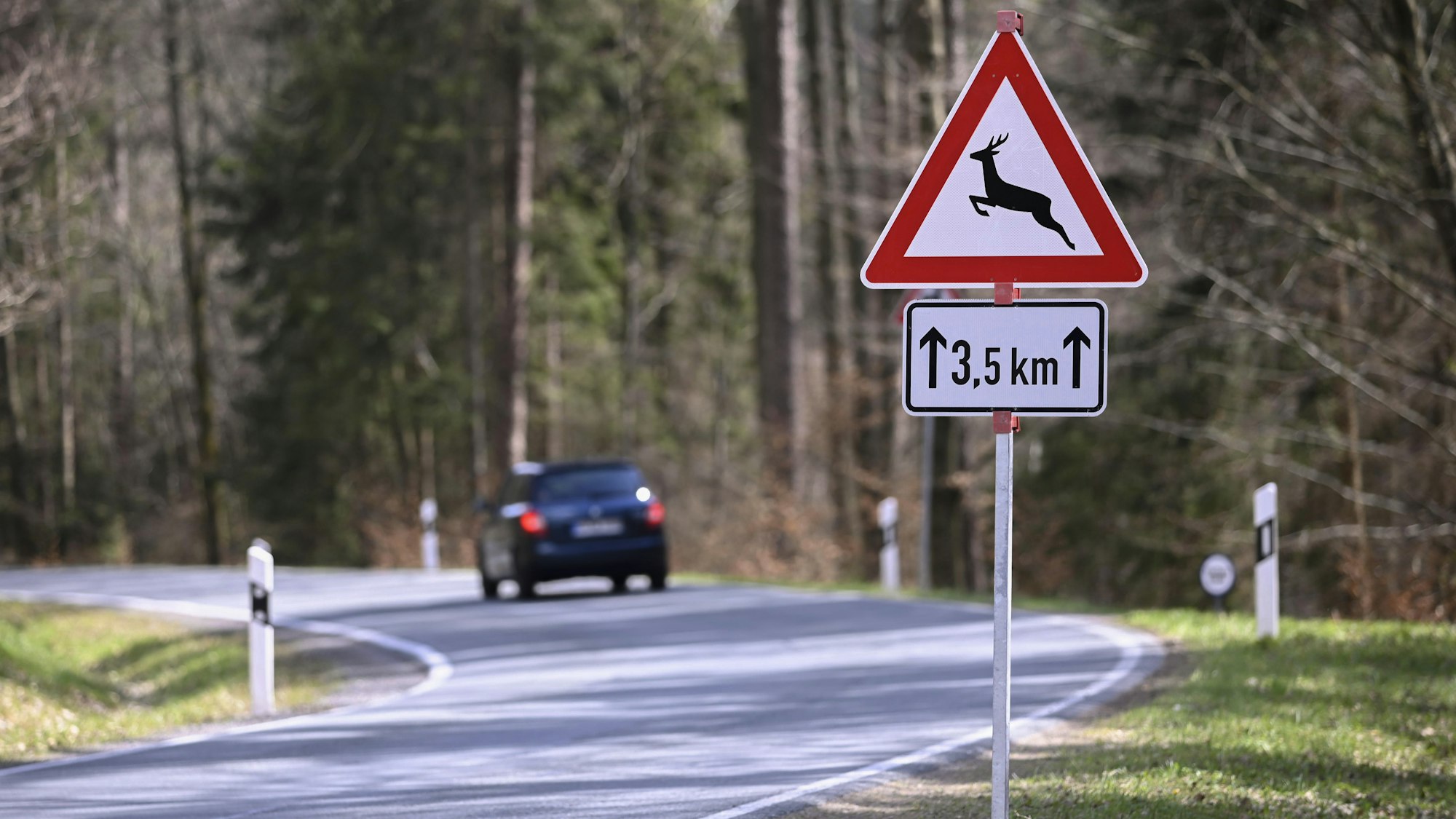 Das Symbolfoto vom September 2021 zeigt eine Straße, an der ein Verkehrsschild auf Wildwechsel hinweist.