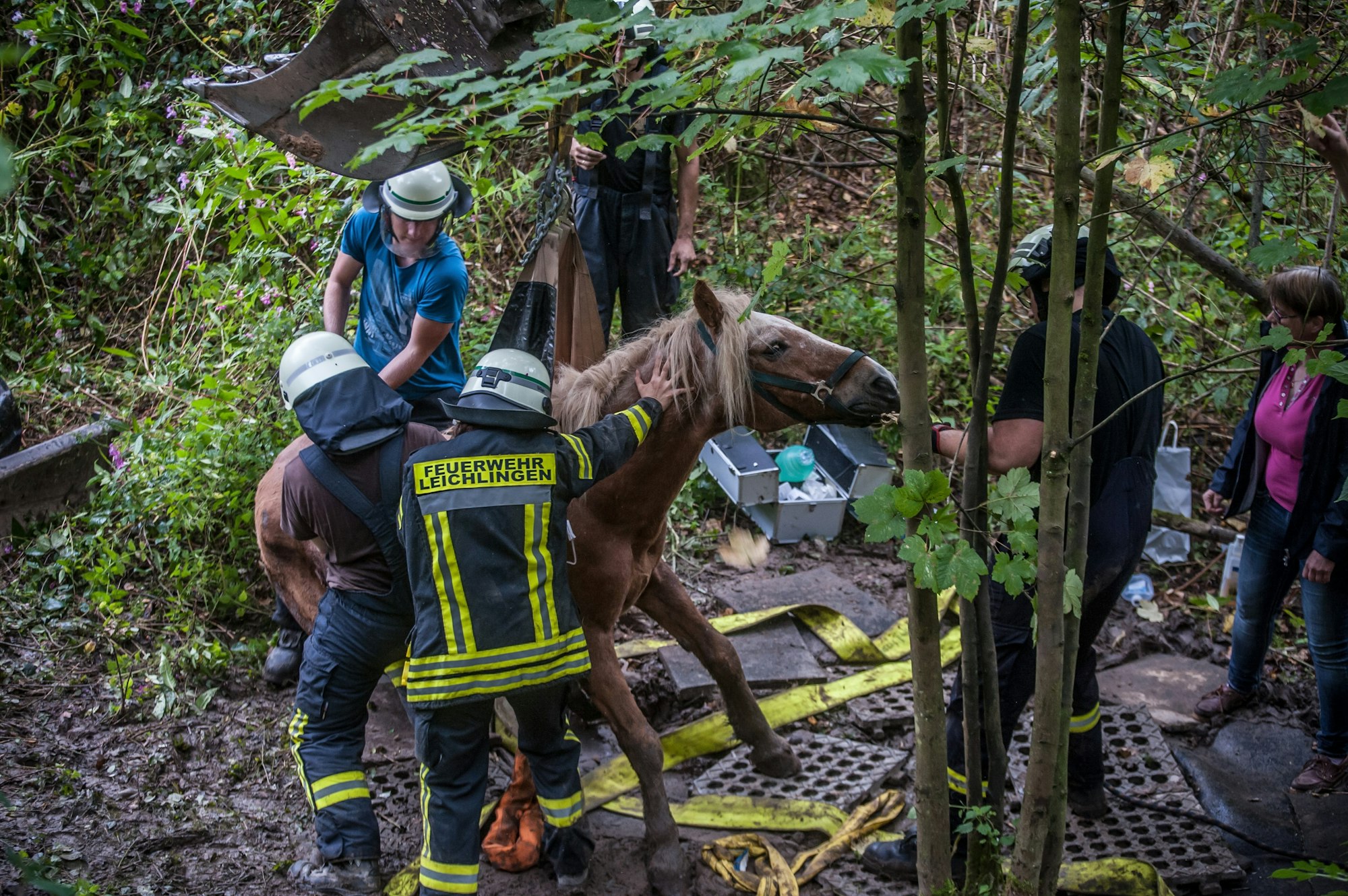 In Leichlingen wurde am 16. September 2021 ein Pferd aus einer Böschung gerettet.