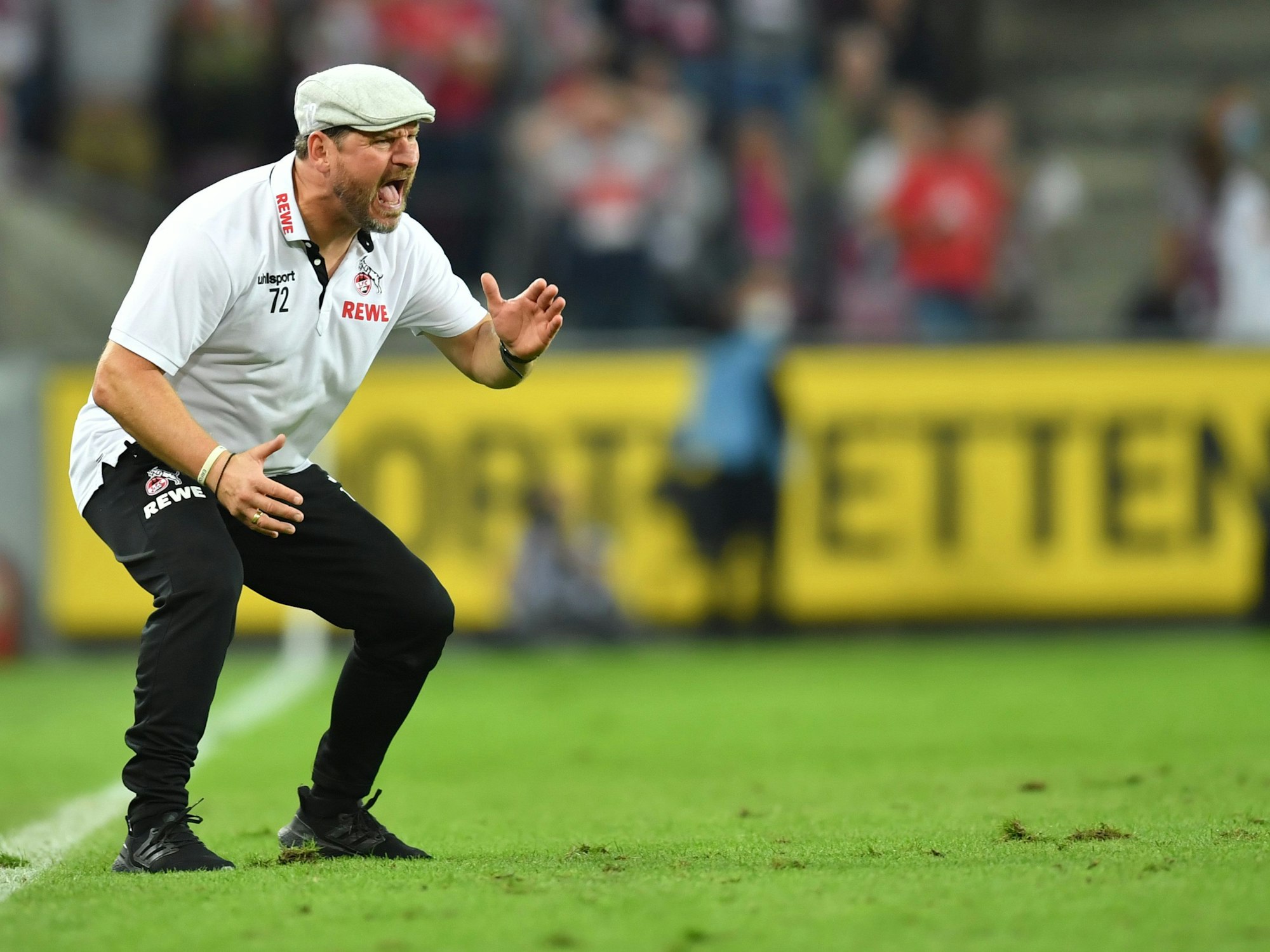Kölns Trainer Steffen Baumgart gibt Anweisungen.