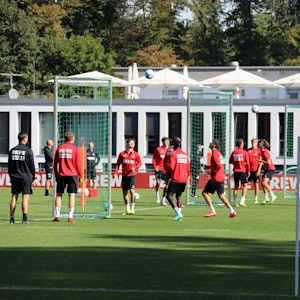 Der 1. FC Köln trainiert am Geißbockheim.