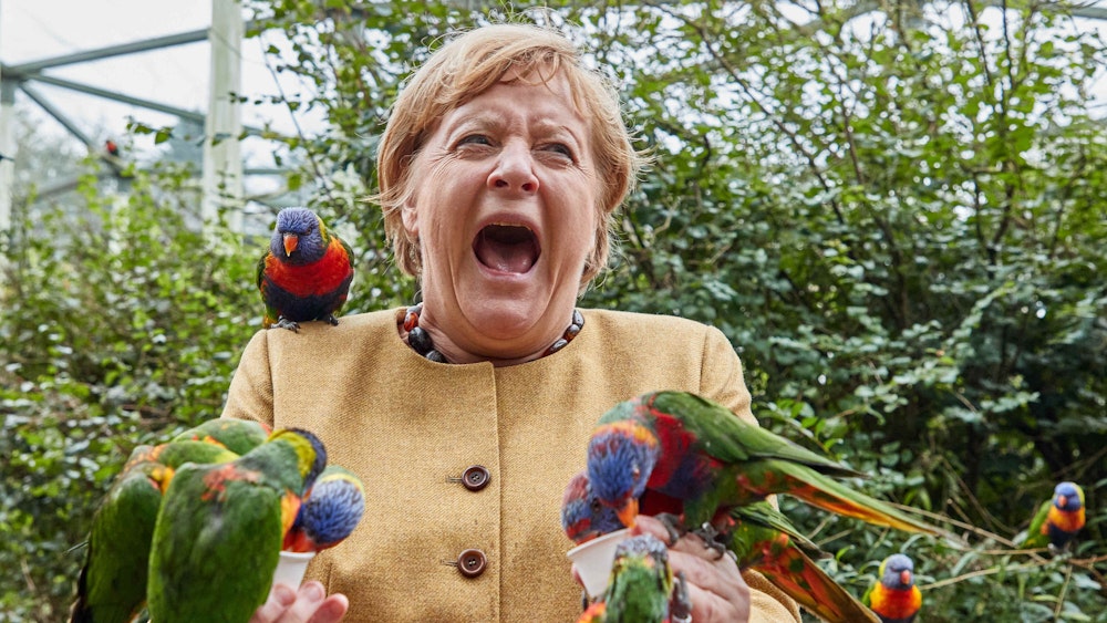 Angela Merkel (CDU), Bundeskanzlerin, füttert australische Loris im Vogelpark Marlow und wird dabei gebissen. +++ dpa-Bildfunk +++