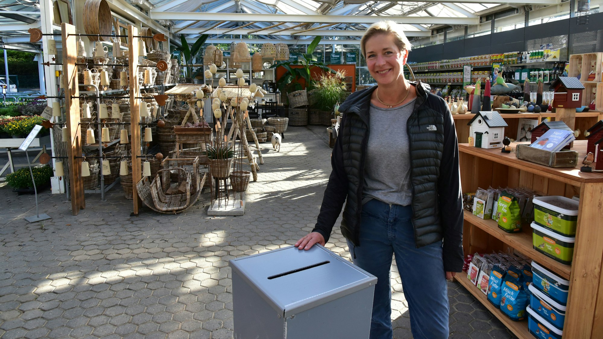 Giza Mohr von Pflanzen-Mohr mit einer Wahlurne im Gewächshaus.