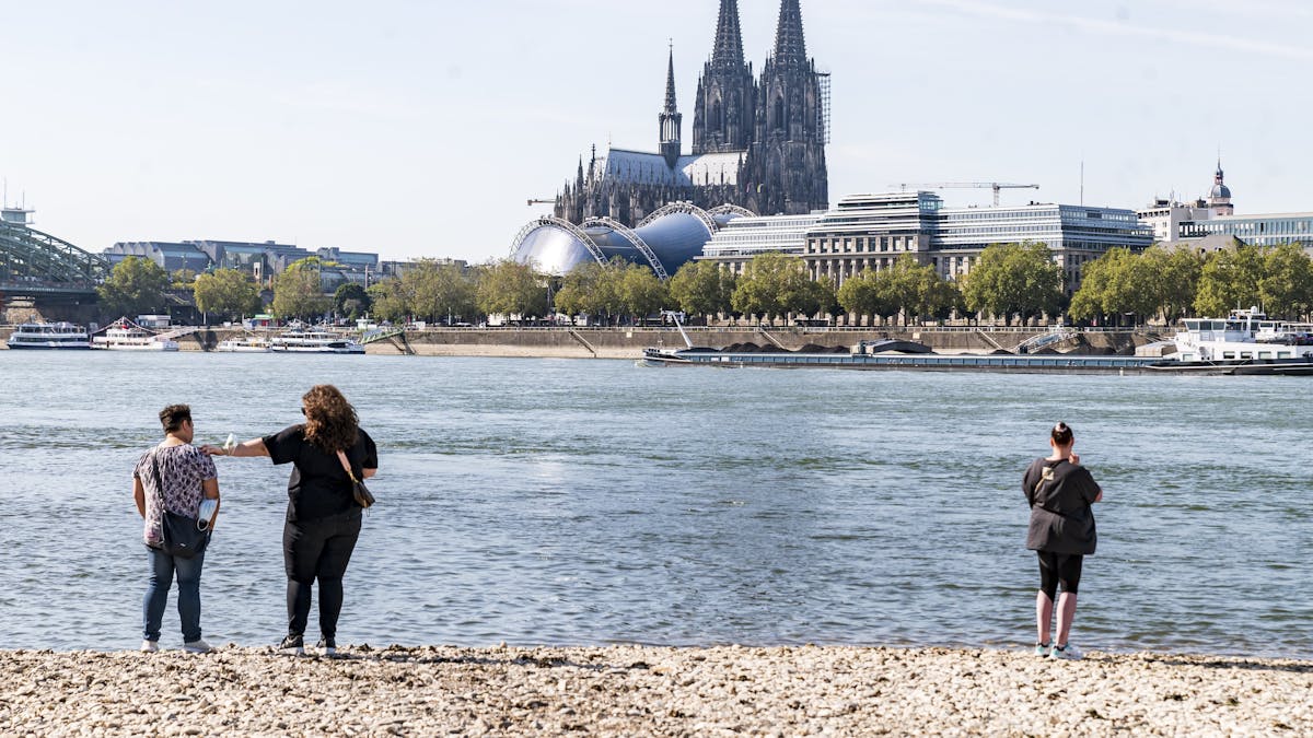 Spaziergänger am Rhein bei Köln (23. September 2021). Im Zufluss der Sieg wurde jetzt ein Maifisch gesichtet.