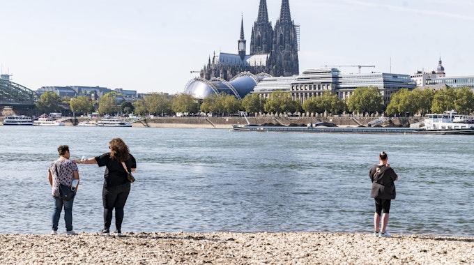 Spaziergänger am Rhein bei Köln (23. September 2021). Im Zufluss der Sieg wurde jetzt ein Maifisch gesichtet.
