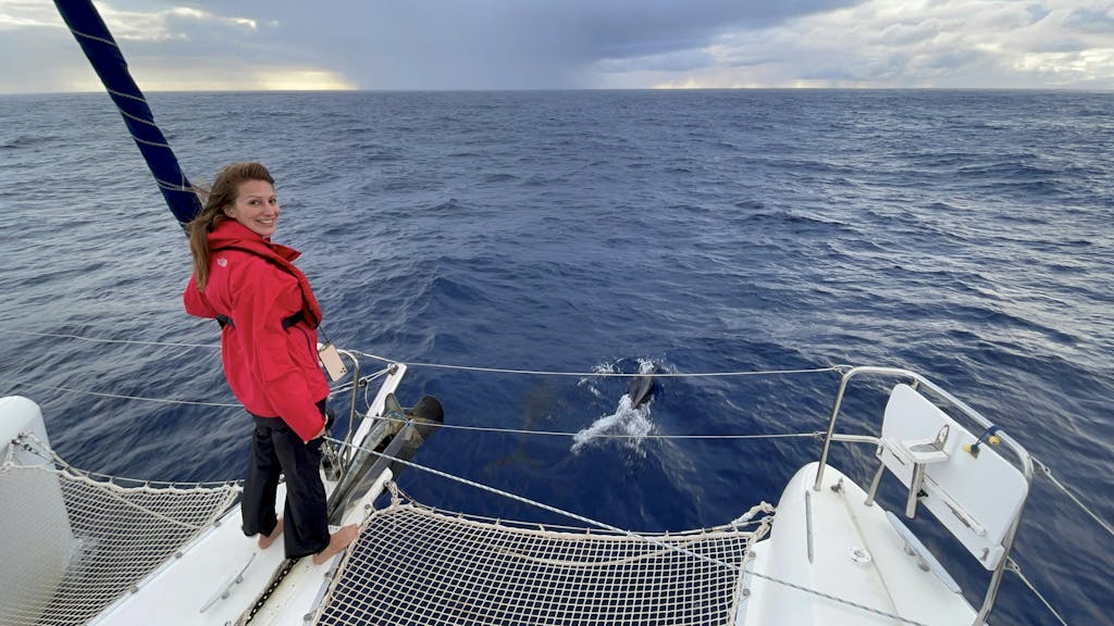 Mara Bergmann steht auf einem Katamaran, vor ihr schwimmen Delfine im Meer.