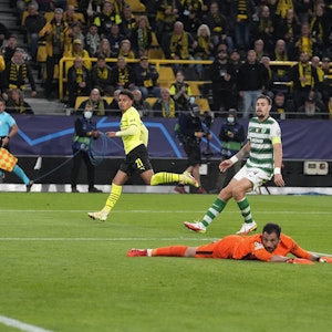 Donyell Malen (BVB) trifft in der Champions League gegen Sporting Lissabon.