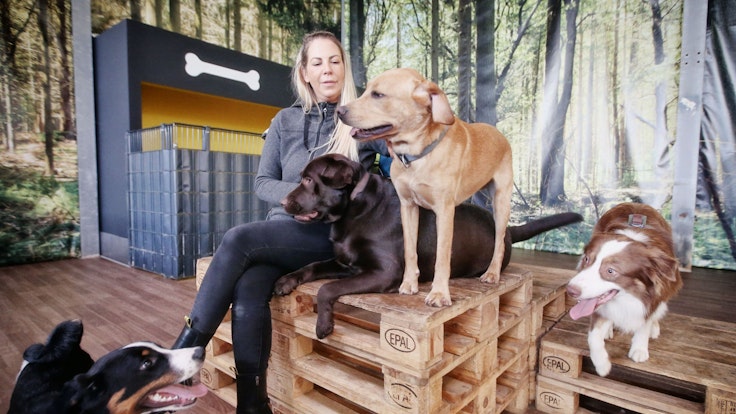 Hundetrainerin Linda Manteuffel sitzt auf einer Holzpalette, um sie herum sind Hunde.