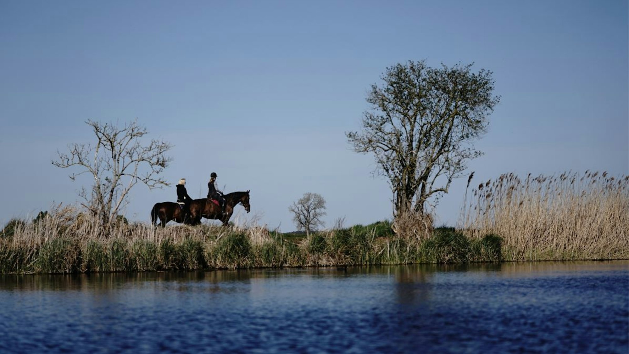 Im Sonnenschein passieren zwei Reiterinnen auf ihren Pferden einen See am Schulzendorfer Graben.