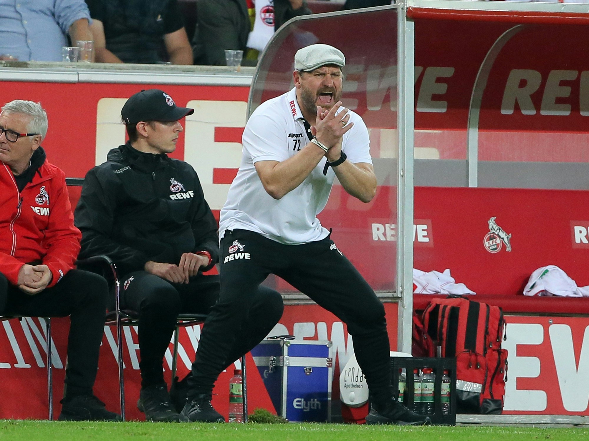 Steffen Baumgart trainiert den 1. FC Köln gegen die SpVgg Greuther Fürth.