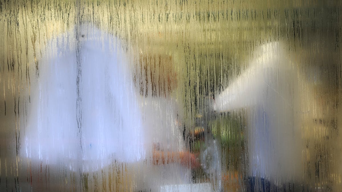 Fenster von außen beschlagen: Unser Bild zeigt Kondenswasser auf einer Fensterscheibe.