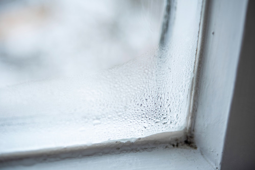 Fenster von innen beschlagen: Auf unserem Bild sieht man Kondenswasser, das sich an der Fensterscheibe bildet.