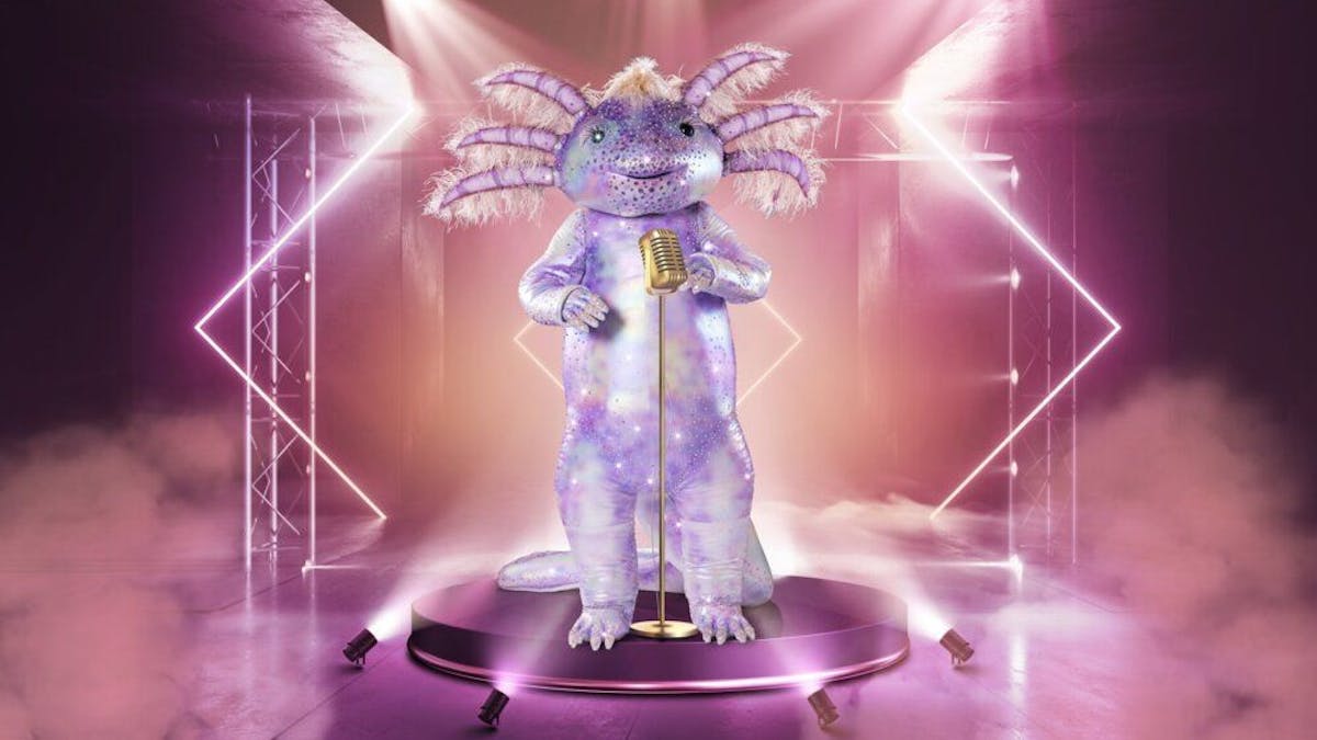 Das Axolotl hat es mit seinem Auftritt in der dritten Folge von „The Masked Singer“ am 30. Oktober 2021 in die nächste Runde geschafft. Doch es bleibt die Frage: Wer steckt unter dem Amphibien-Kostüm? 