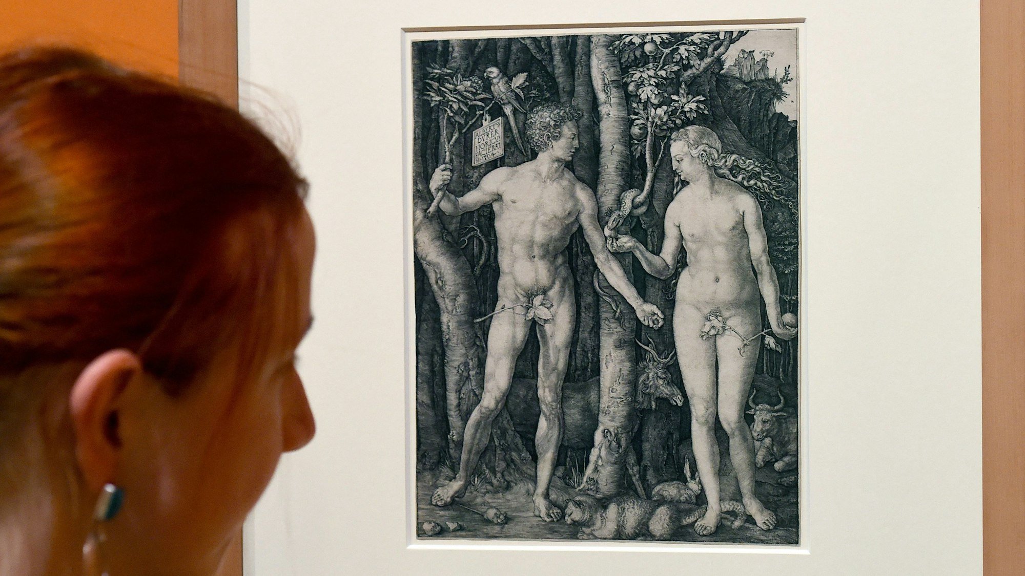Gemälde, auf denen laut Algorithmus zu viel nackte Haut gezeigt wird, können nicht auf sozialen Medien gepostet werden. Auf dem Foto (aufgenommen am 26. Januar 2015) sieht man den Kupferstich „Adam und Eva“ aus der Ausstellung „Nackte Tatsachen“ in Braunschweig